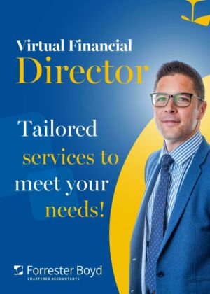 Virtual Financial Director 1
