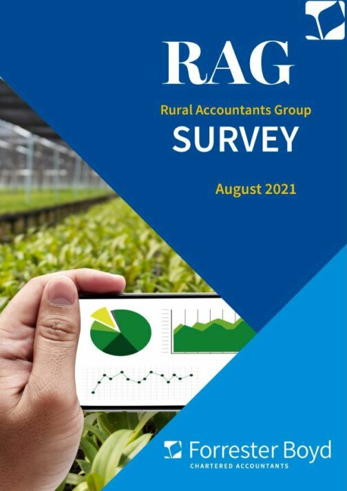 RAG Survey