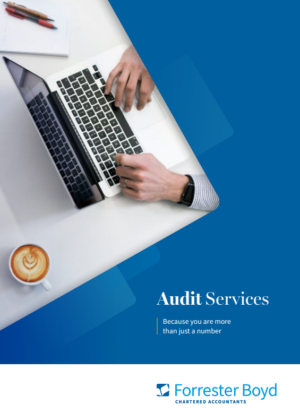 Audit Brochure