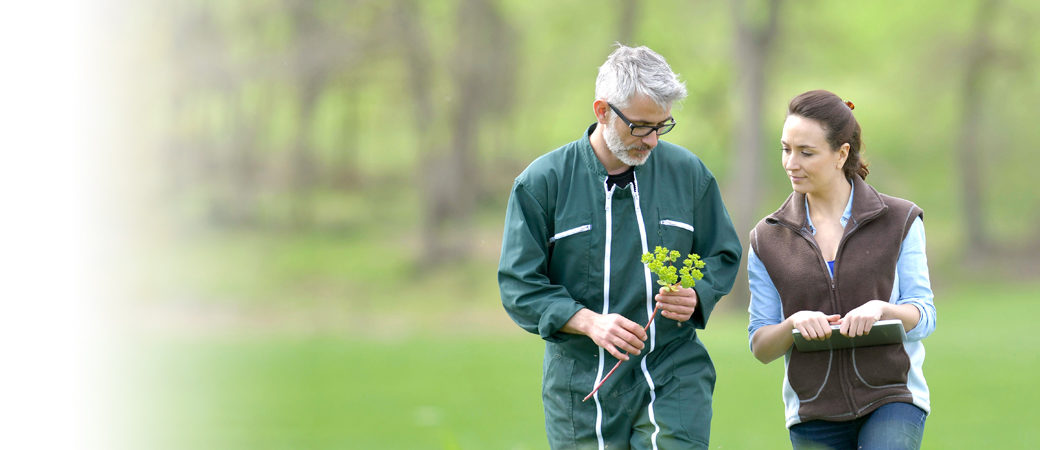 Agriculture crop testing