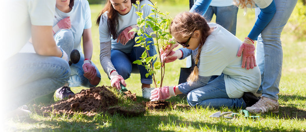 Charities trusts girl planting tree