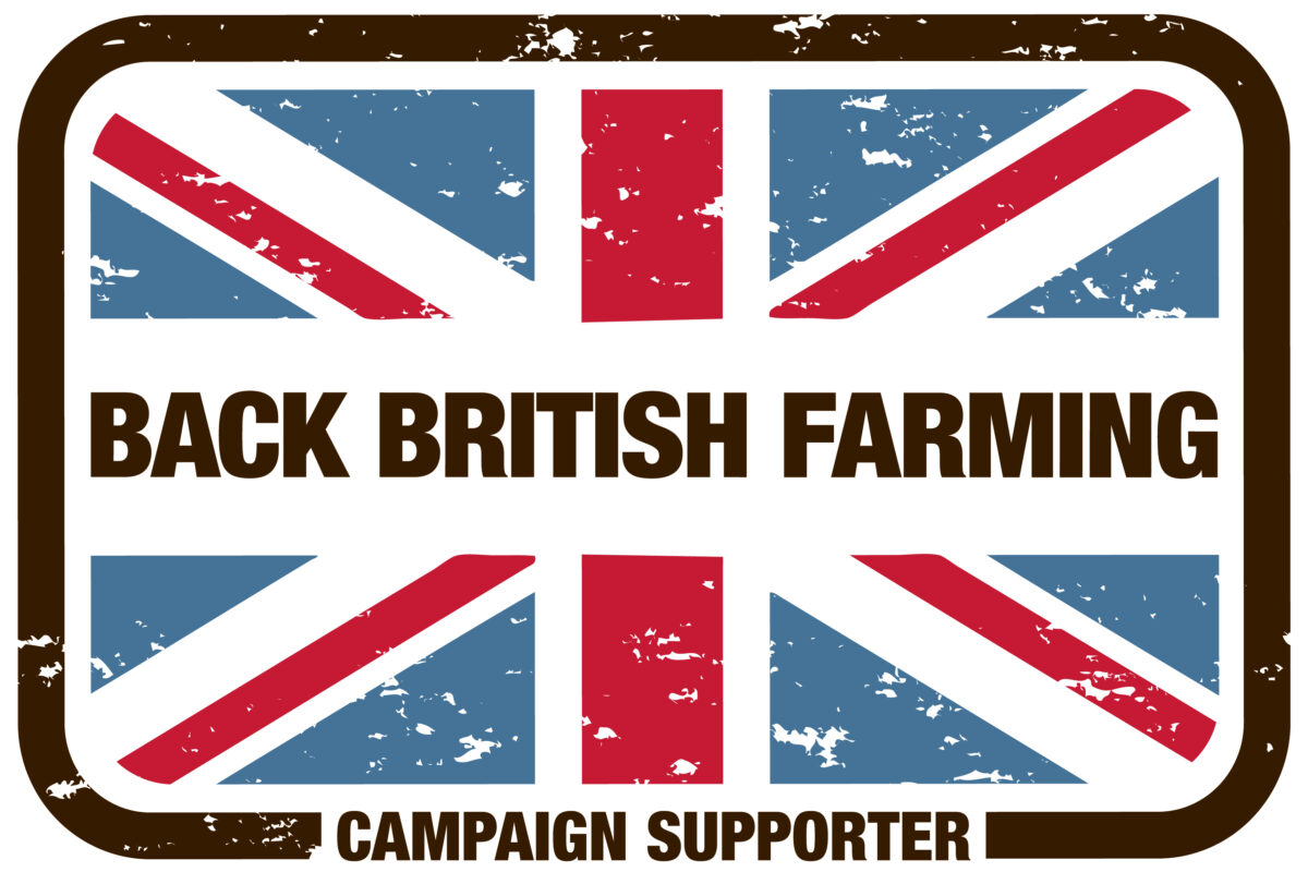 BBF supporter COLOUR1