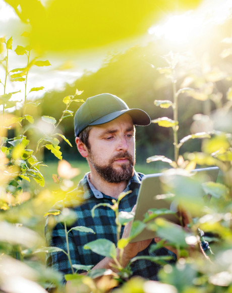 Farmer in a field