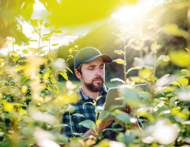 Farmer in a field