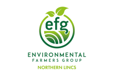 EFG Logo