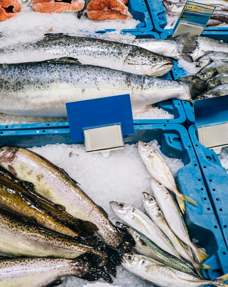 Seafood on ice